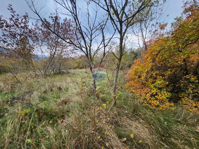 Terreno non edificabile Čiritež, Buzet, 9.290m2 – 3