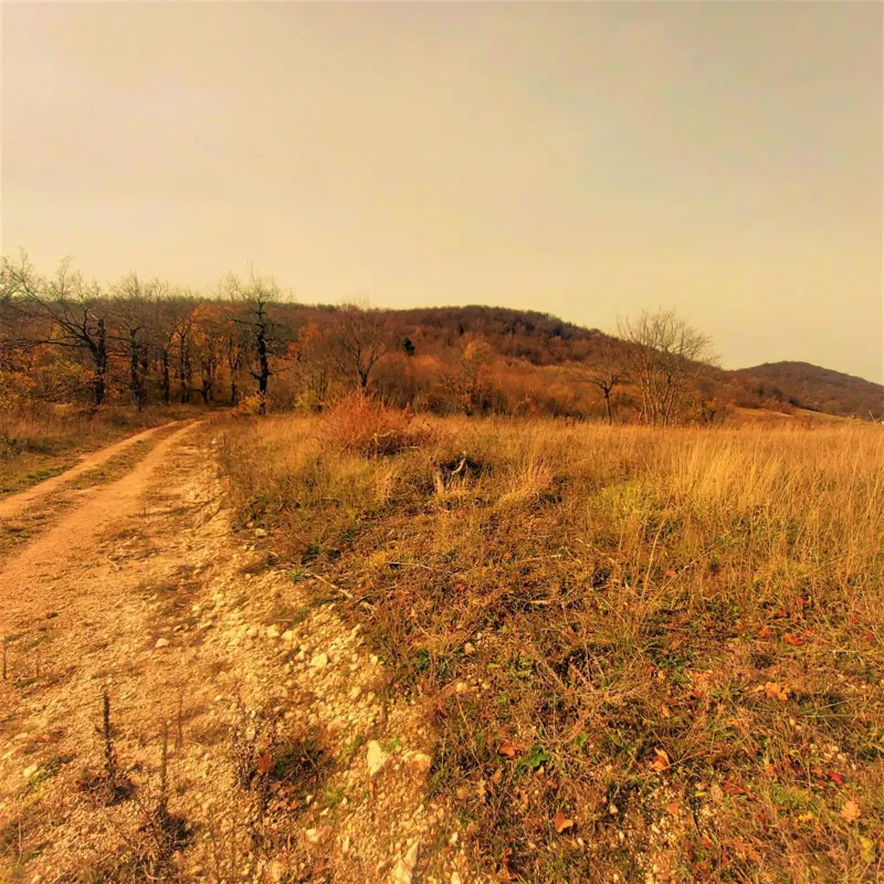 Terreno agricolo Kestenovac, Donji Lapac, 25.160m2