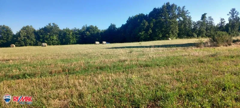 Terreni agricoli Pusti, Svetvinčenat, 8.182m2 – 2