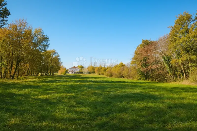 Building and agricultural land 4,793 m² – Kringa, Tinjan – 2