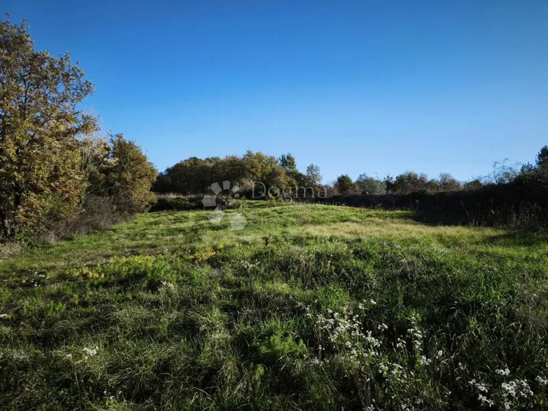 Building and agricultural land 4,793 m² – Kringa, Tinjan – 3