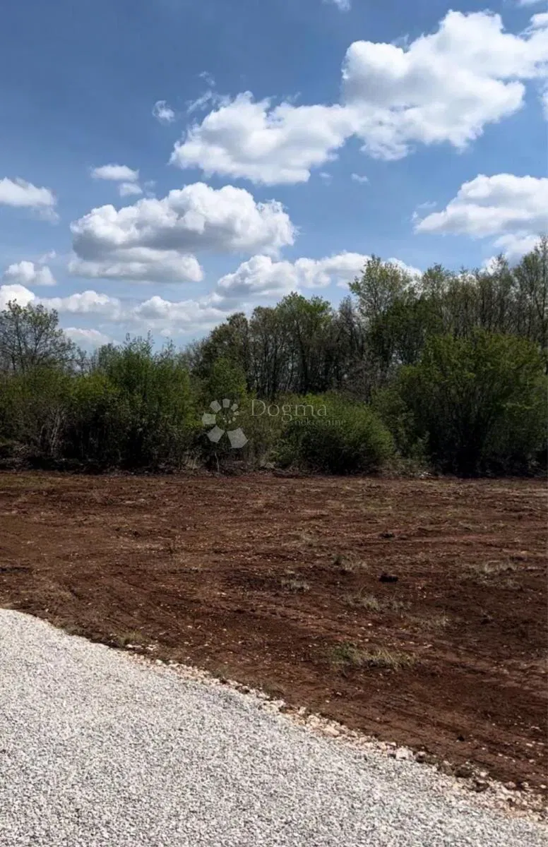 Tinjan - Épület 600 m² + Mezőgazdasági terület 134 m², Nagyszerű Lehetőség – 2