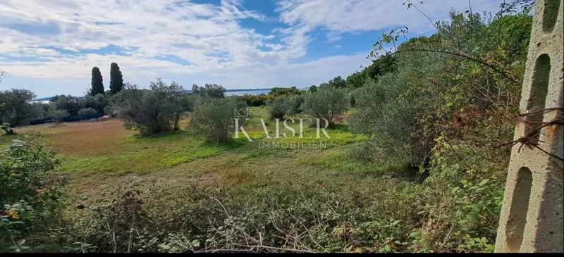 Istria, Fažana - agricultural land with sea view – 2