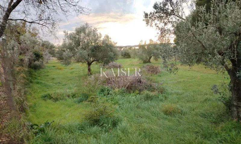 Istria, Fažana - agricultural land with sea view – 3