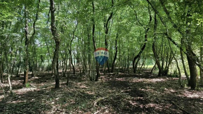 Terreno non edificabile Kaštelir, Kaštelir-Labinci, 2.418m2 – 3