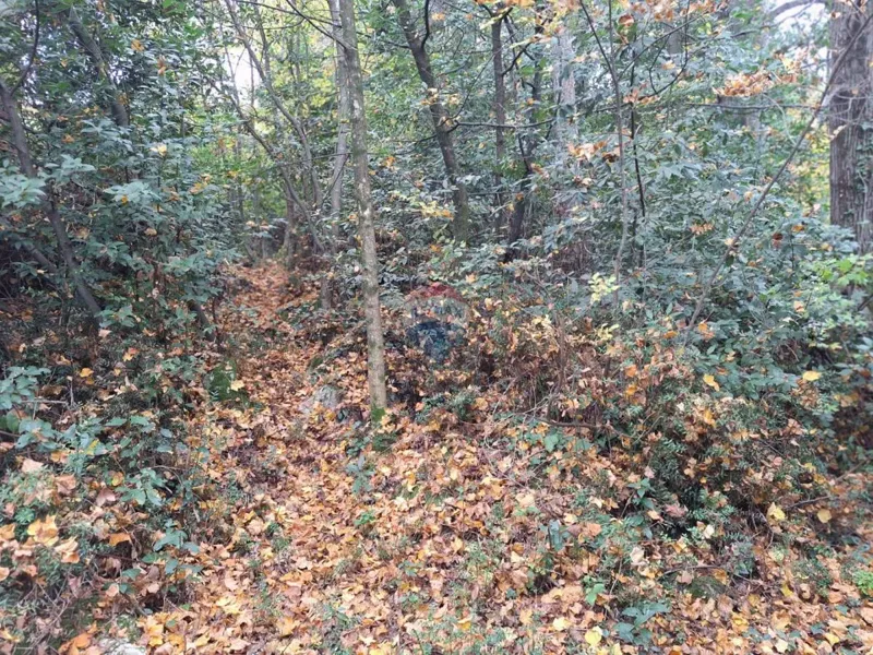 Telek Pobri – 3