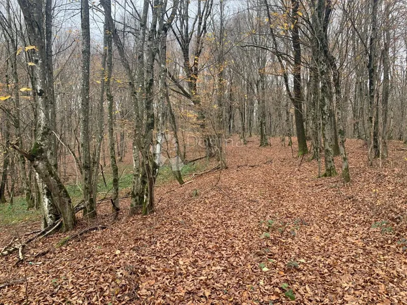 Mezőgazdasági terület Blatuša, Gvozd, 41.649m2 – 2