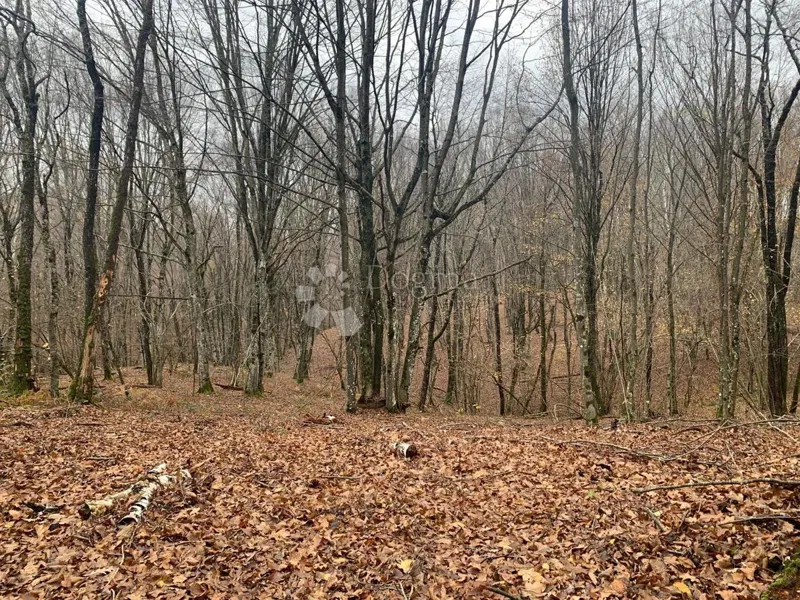 Mezőgazdasági terület Blatuša, Gvozd, 41.649m2 – 3