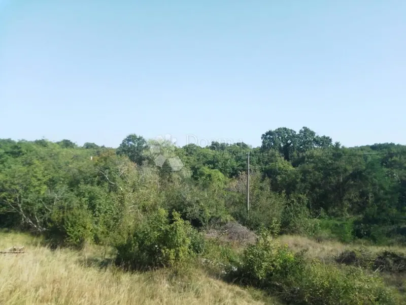 Vendesi terreno di 23.866 m2 (23,87 m2), in parte EDIFICABILE, a Nedešćina (Istria)!! – 2