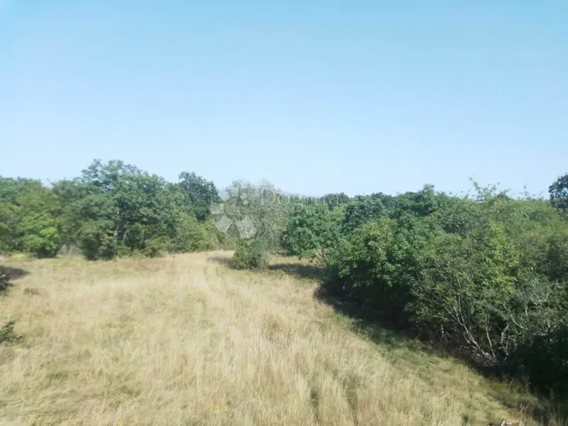 Vendesi terreno di 23.866 m2 (23,87 m2), in parte EDIFICABILE, a Nedešćina (Istria)!! – 3