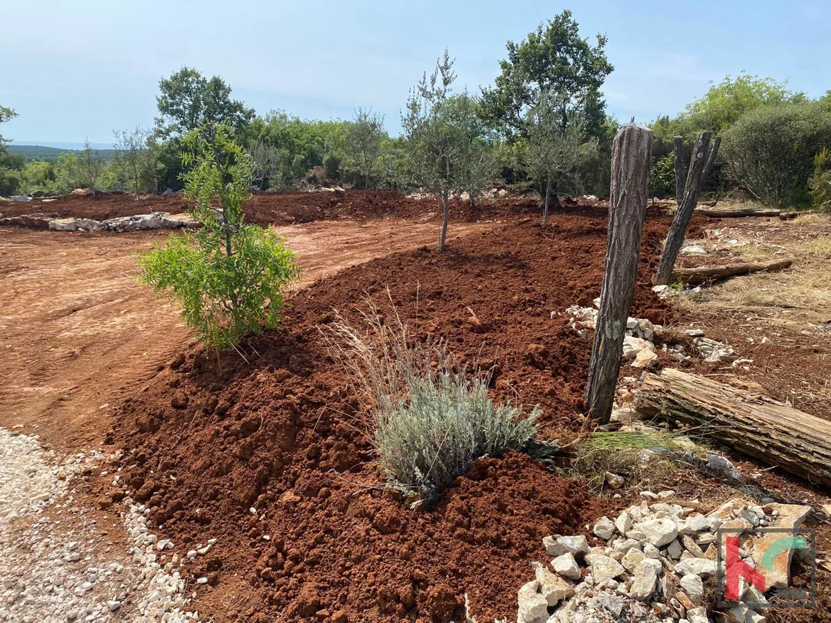 BALE, POLJOPRIVREDNO ZEMLJIŠTE SA POGLEDOM NA MORE 497M2 #PRODAJA