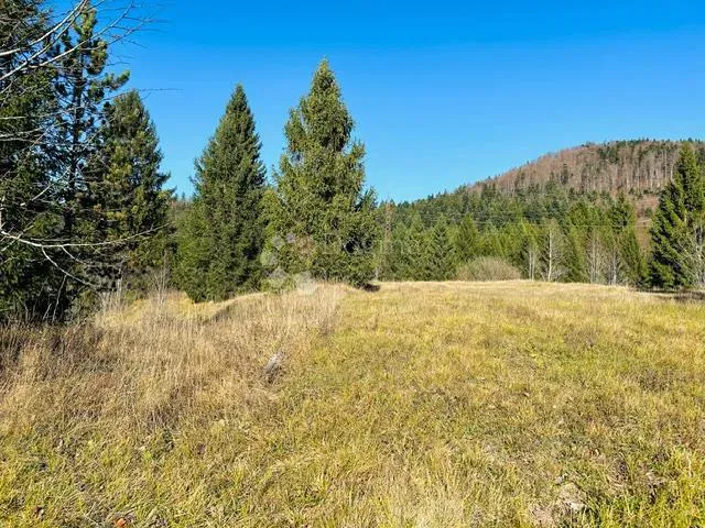 Building land Stara Sušica, Ravna Gora, 1.100m2 – 3