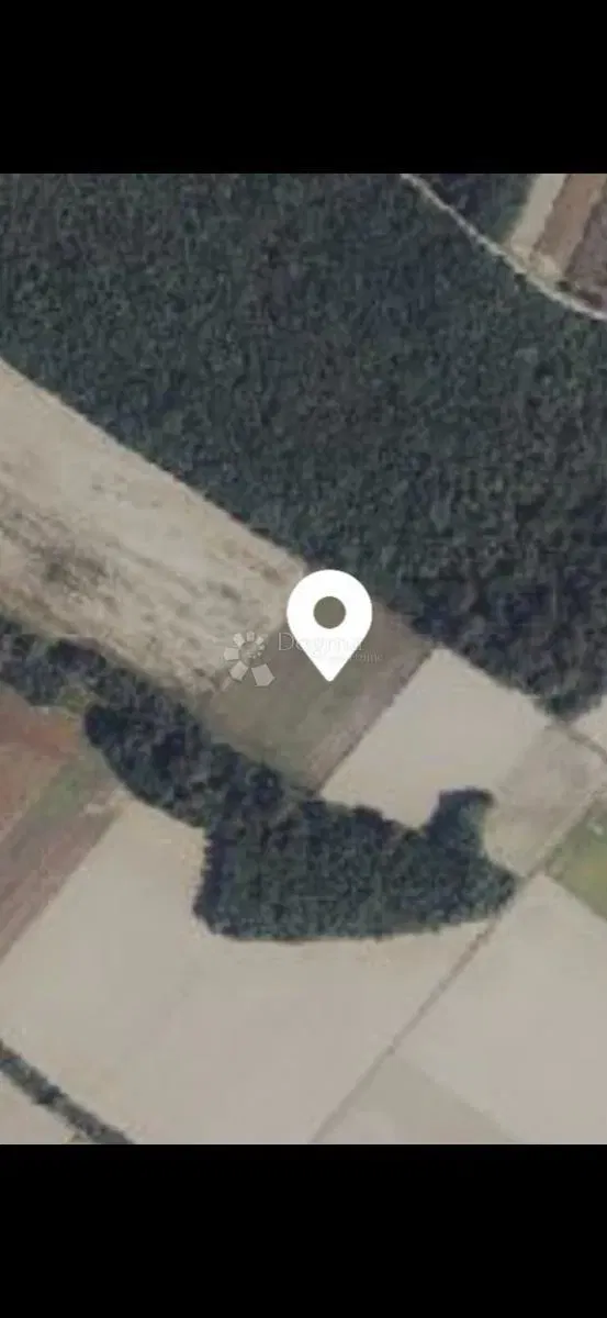 Agricultural land Satnica, Petrijevci, 15.484m2 – 3