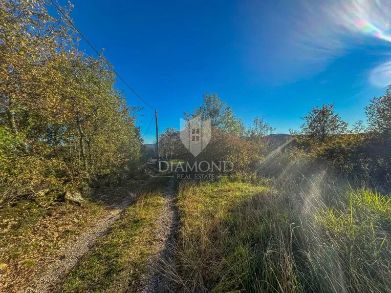 Telek Motovun – 2