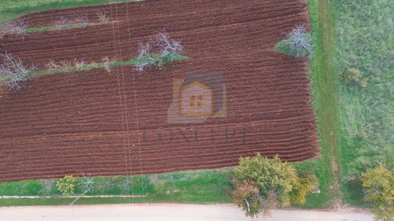 Poreč, surroundings, Building land with a sea view, 12 km from the sea – 2
