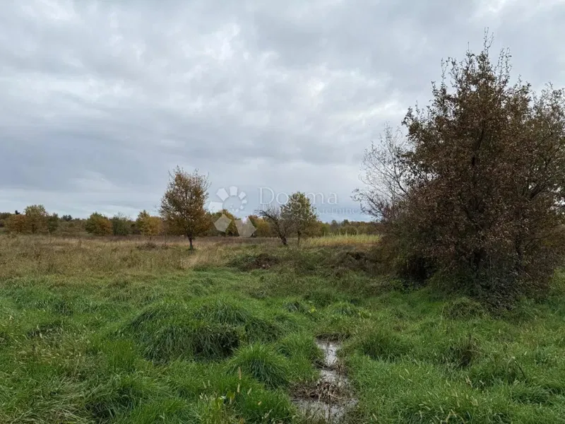 Spacious agricultural land 700m from the sea - Poreč – 3
