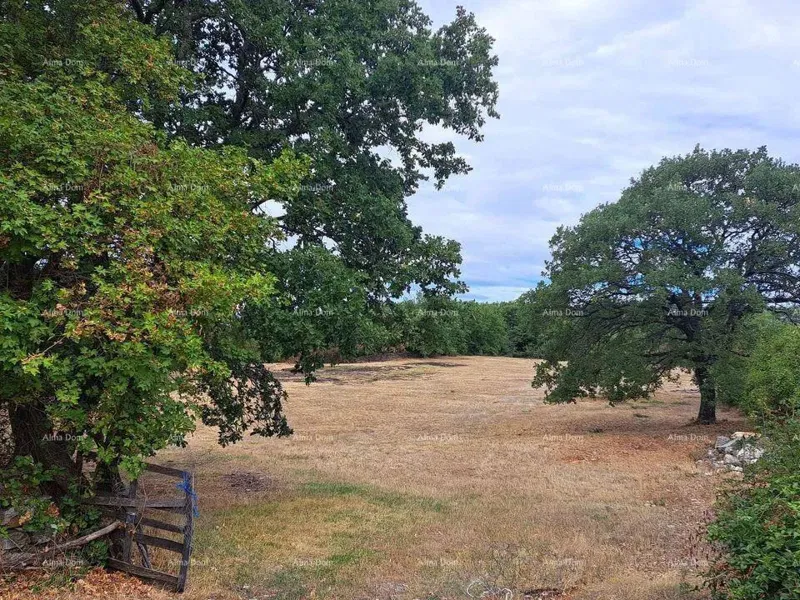 Sale of construction land, Kanfanar – 3