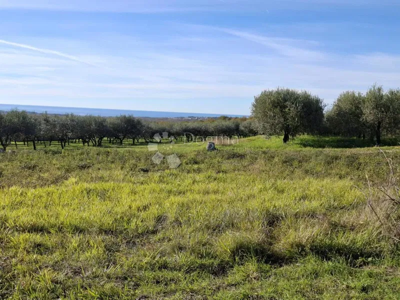 Building land Poreč, 751m2 – 2