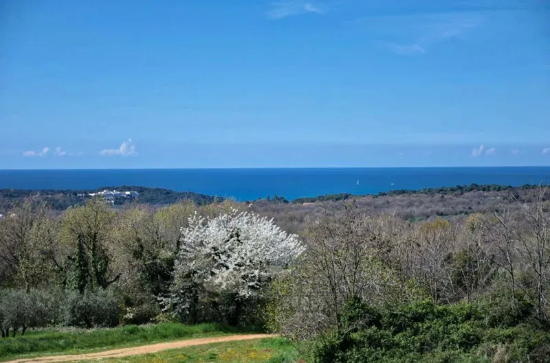 Zona di Parenzo – Appartamento con una splendida vista mare – 3