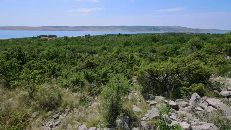 STARIGRAD - SELINE, PRODAJA GRAĐEVINSKOG ZEMLJIŠTA 3264 M2.
