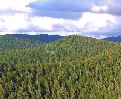 Agricultural land Lič, Fužine, 2.935m2 – 2