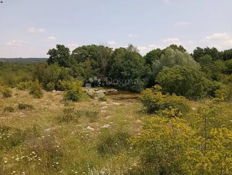 Terreno agricolo Čabrunići, Svetvinčenat, 1.315m2 – 2