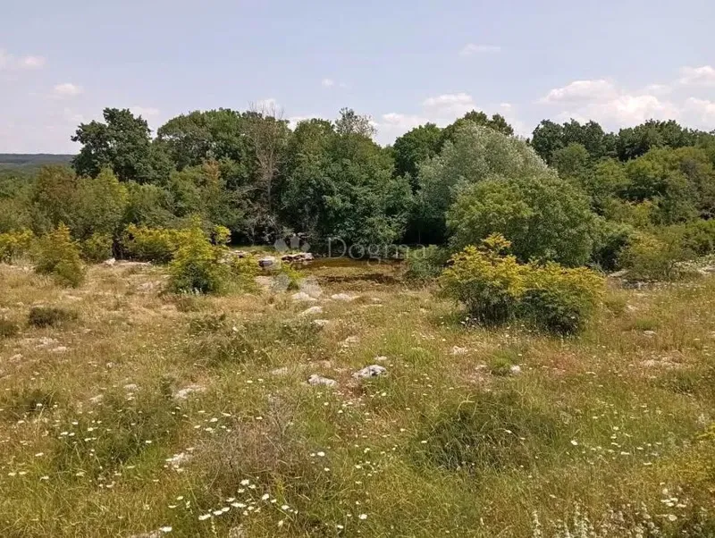 Mezőgazdasági terület Čabrunići, Svetvinčenat, 1.315m2 – 2
