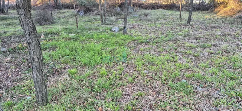 Malinska, isola di Krk, dintorni, terreno agricolo 2090 m2, vendita – 2