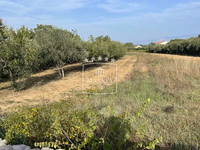 Terreno Pridraga, Novigrad, 2.162m2 – 2
