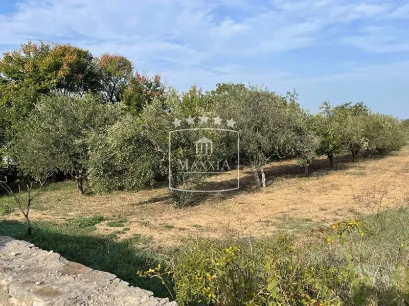 Terreno Pridraga, Novigrad, 2.162m2 – 3