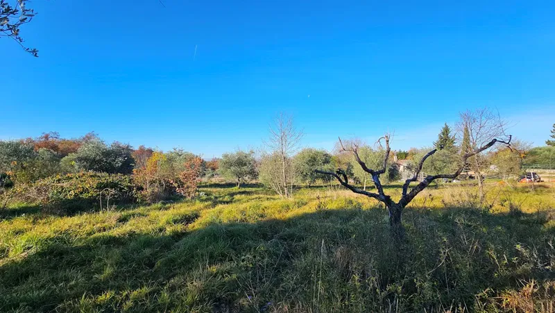Modern Project on a Peaceful Location near Buje – Building Plot with Concept Design – 2