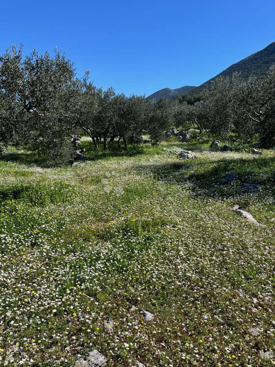 Terreno agricolo Trpanj, 5.083m2