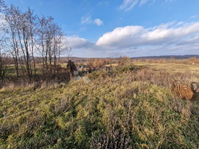 Teren budowlany Žminj, 1.665m2 – 3