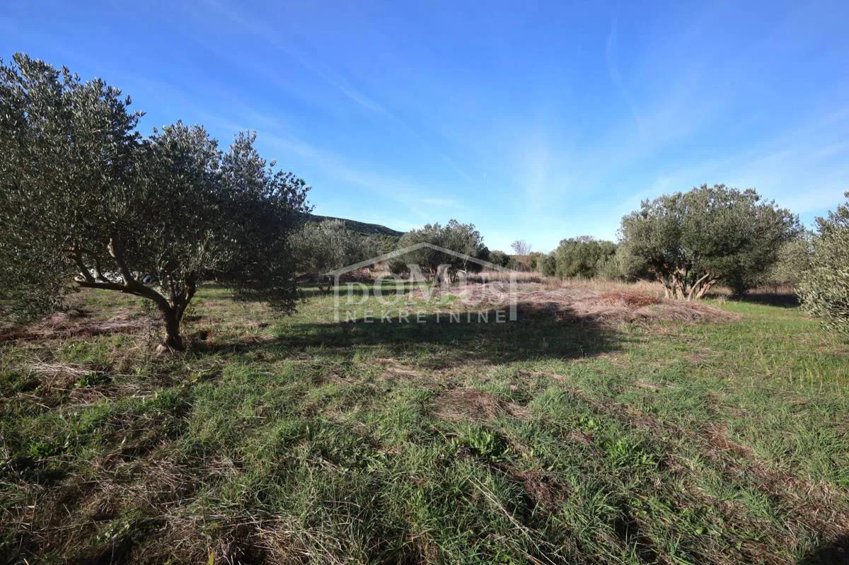 Tribunj, poljoprivredno zemljište površine 1619 m2