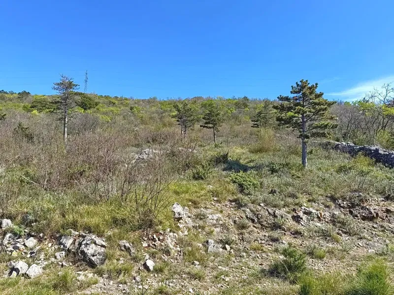 Crikvenica, interesting building land with a view! – 2