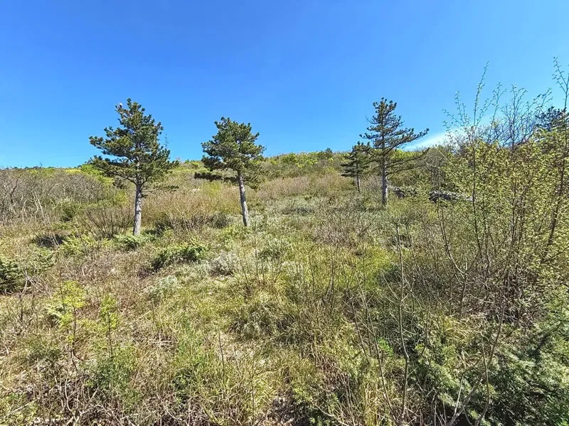 Crikvenica, interesting building land with a view! – 3