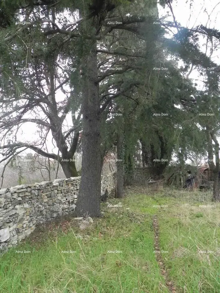 Sale - construction land of 730m² in an attractive location, near Rovinj village! – 2