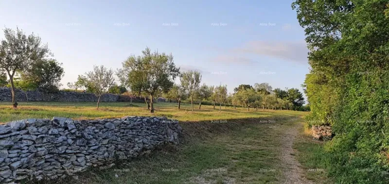 Земля для строительства Marčana – 2