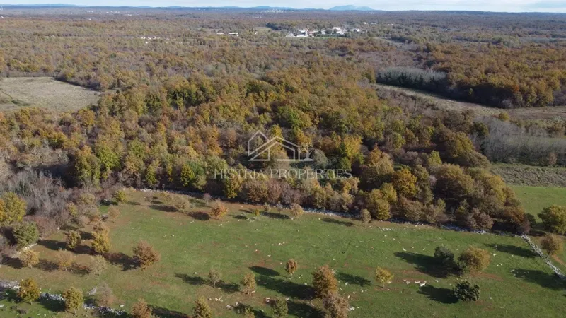 Spacious agricultural land with access road and possibility of water connection – 2