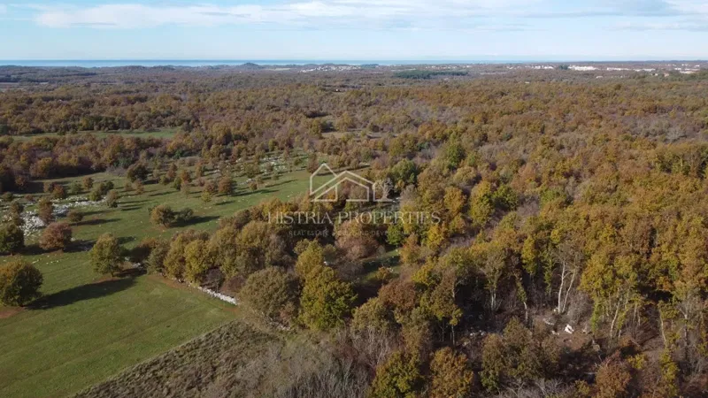 Spacious agricultural land with access road and possibility of water connection – 3