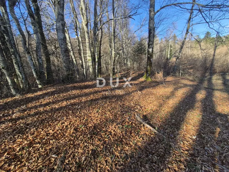 GORSKI KOTAR, FUŽINE - building land 1198 m2 - investment opportunity! – 3