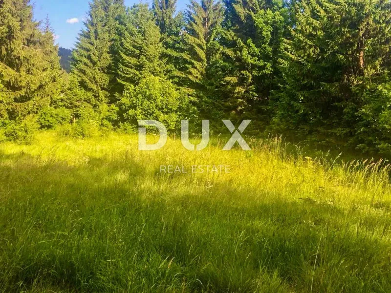 Grundstück Lučice, Delnice, 2.550m2