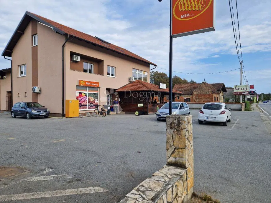 Dom Brzaj, Sisak, 650m2