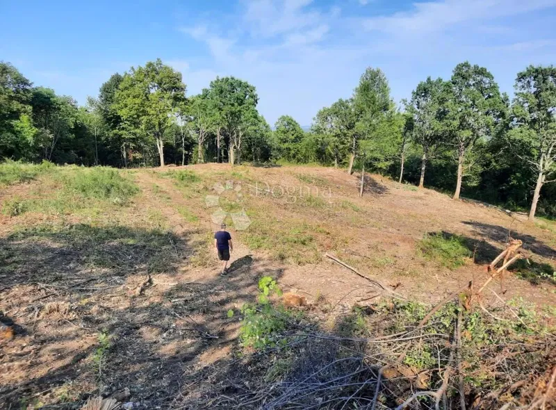 Земля под застройку Stara Kršlja, Rakovica, 20.077m2 – 3