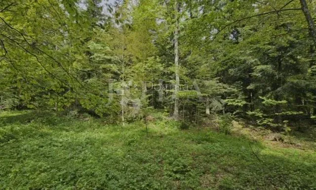 Land Bribir, Vinodolska Općina, 66.147,82m2 – 2
