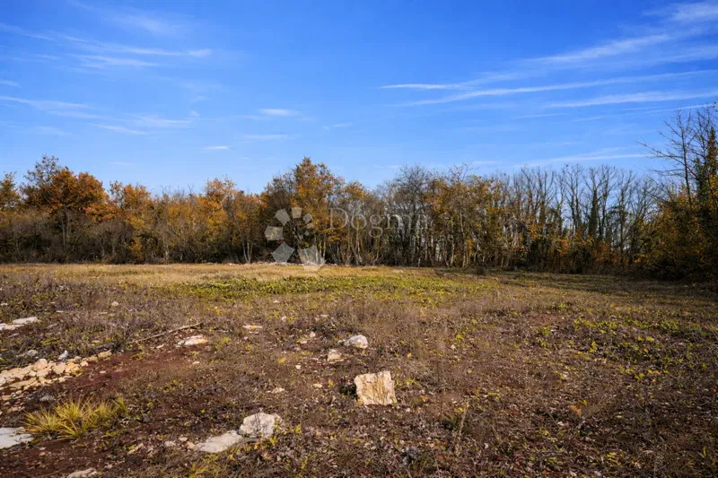 Terreno edificabile Zabrežani, Pazin - Okolica, 3.609m2 – 3