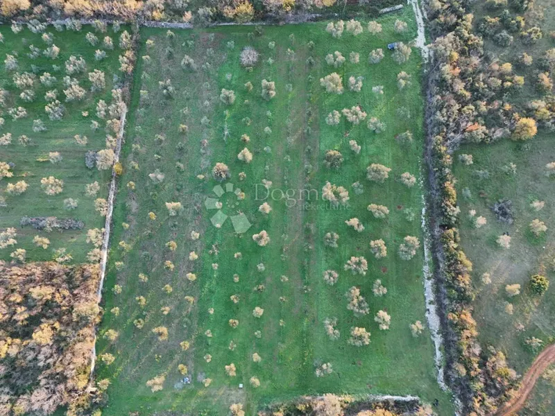 Föld Fažana, 3.630m2 – 2