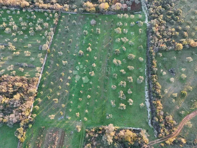 Föld Fažana, 3.630m2 – 3