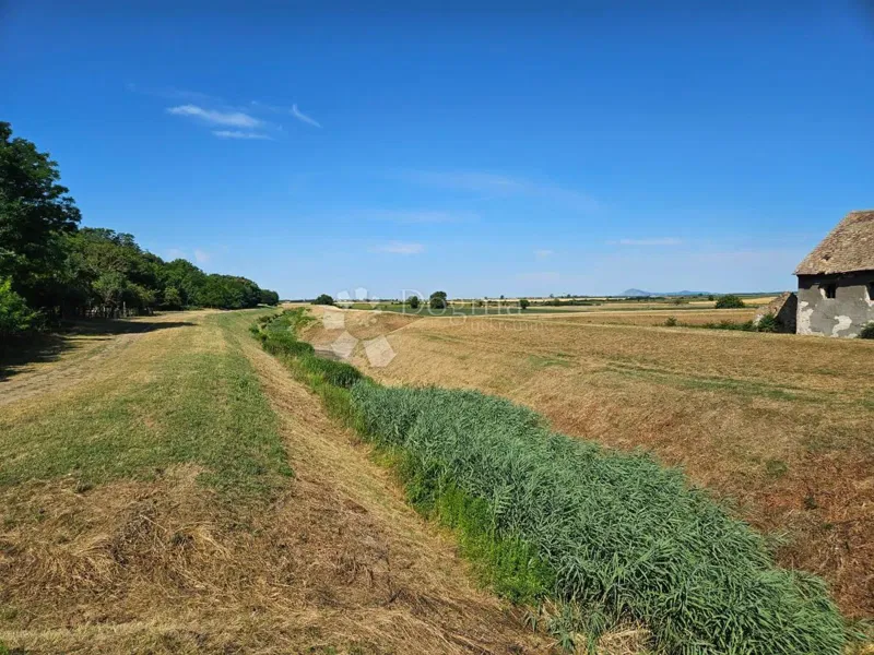 Locale commerciale Branjina, Popovac, 273m2 – 2