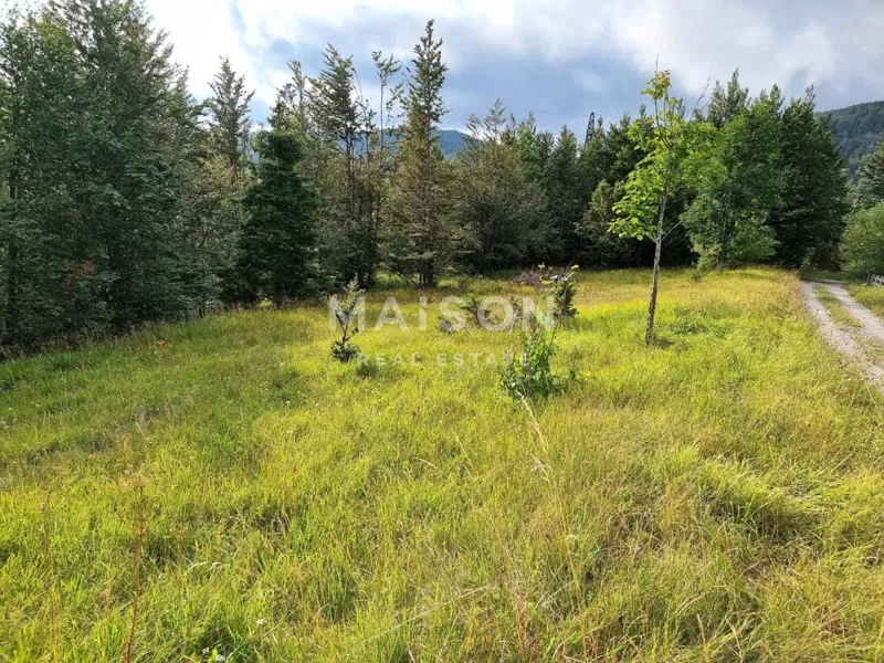 Land Stari Laz, Ravna Gora, 5.475m2 – 2